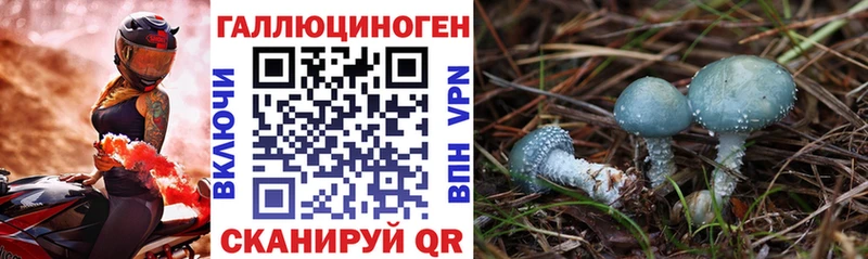Псилоцибиновые грибы Magic Shrooms  Талица 